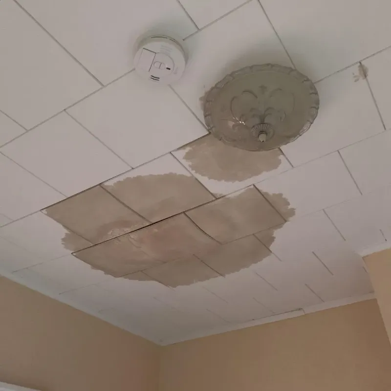 Ceiling Water Damage Repair in Jamestown, NC